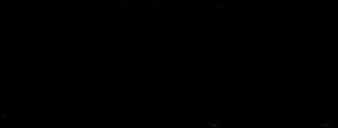 SFP logo